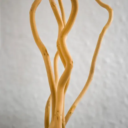 L'osmose - & Cosy - Acces Tram - Commerces A Proximite